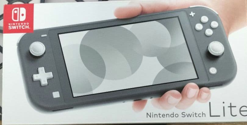 任天堂Switch　Lite ライト　グレー　ケース　セット