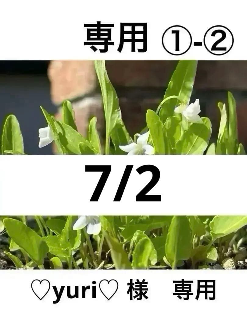 ①-② 専用です。