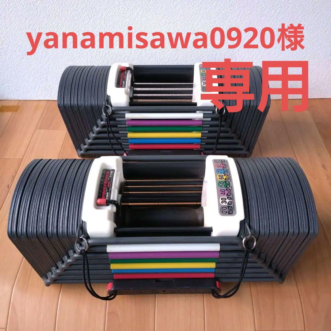 ① 正規品 POWER BLOCK SP9.0 41kg 2個セット 計82kg